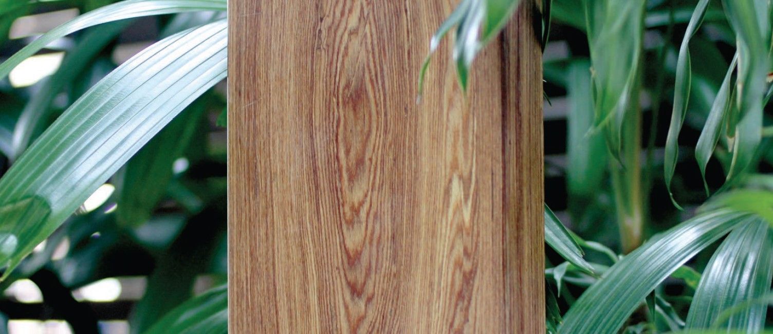 onewood timber, commercial onewood timber, Sustainable Hardwood Alternative, Homogeneous Reconstituted Timber (HRT)
